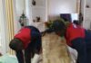 Furniture being properly wrapped